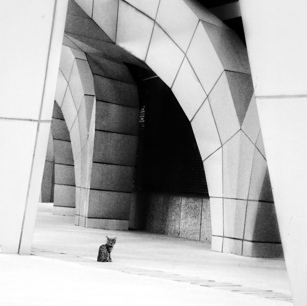 Photograph by Negar sadeghi