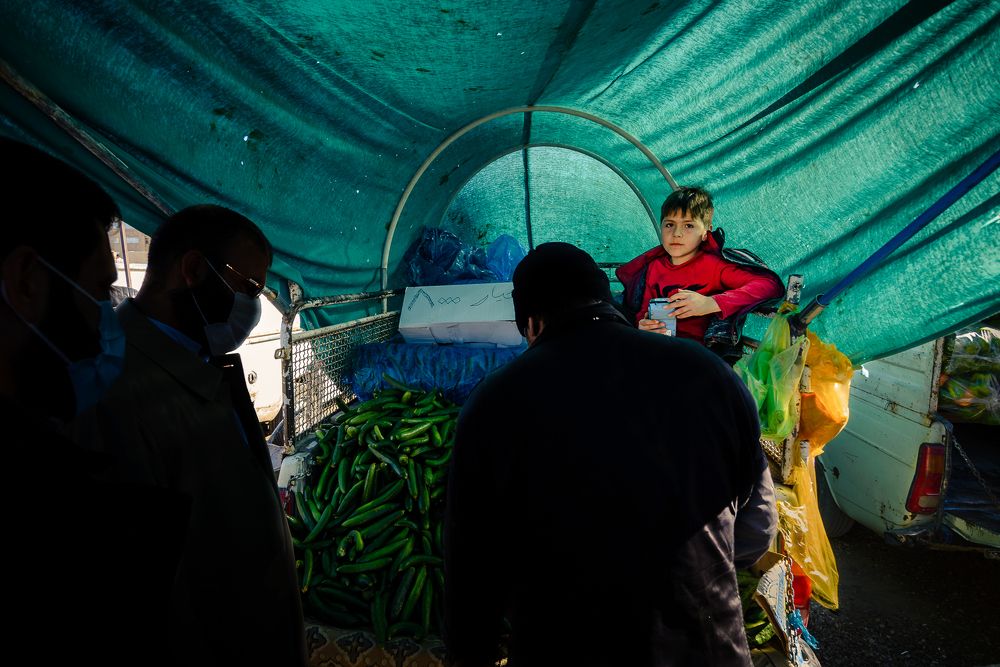 Фотография автора S.Mehdi Hosseini