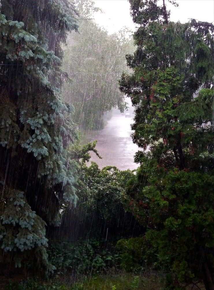 Photograph by Федоренко Элеонора