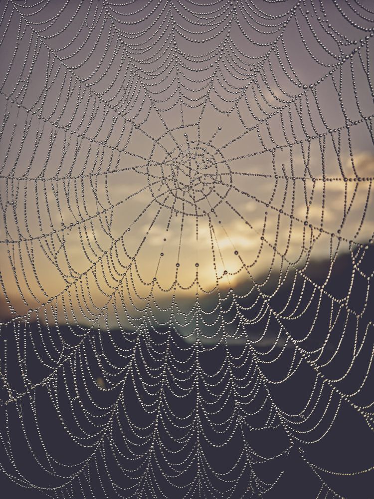 Photograph by Иван Перевезенцев