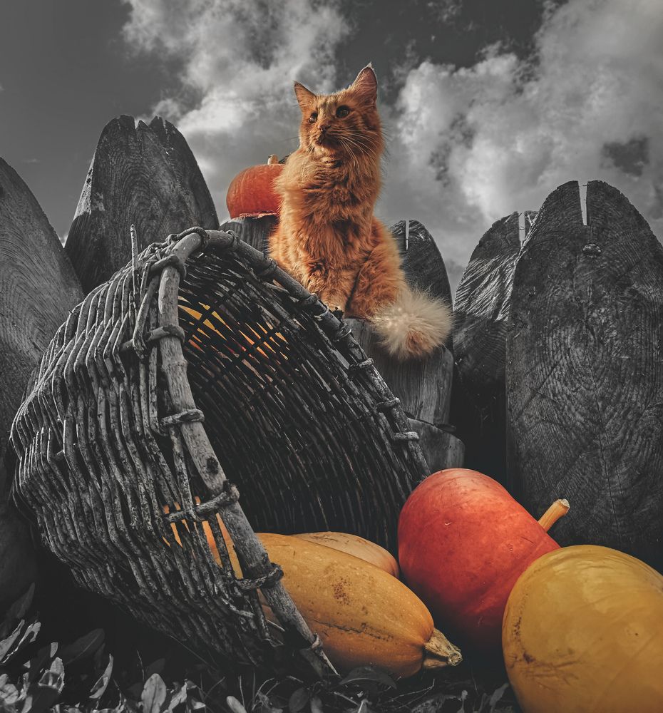 Photograph by Иван Перевезенцев