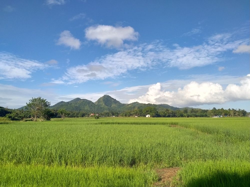 Photo #5874745