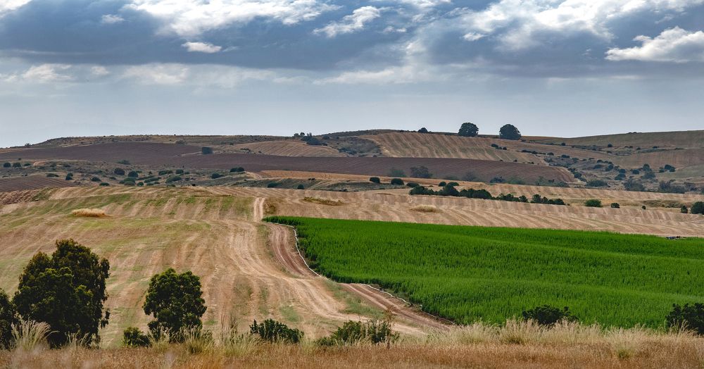 Фотография автора Анатолий