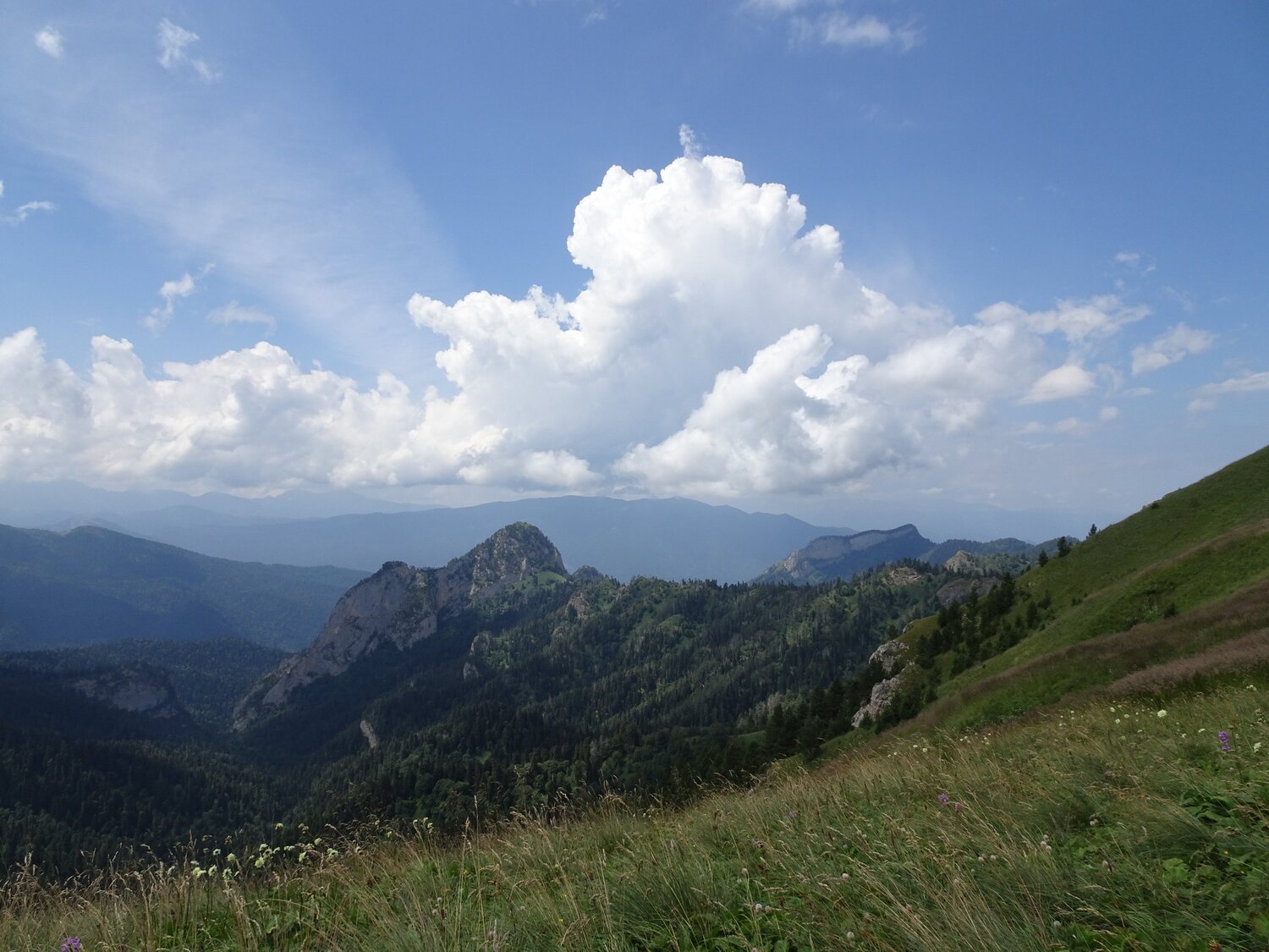Photo #5874821