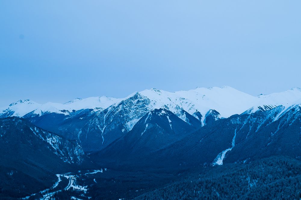 Photograph by Katrin Radish