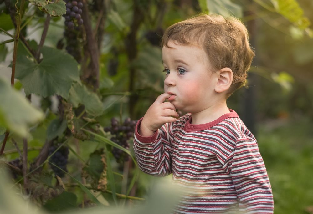 Photograph by Надежда Гусева