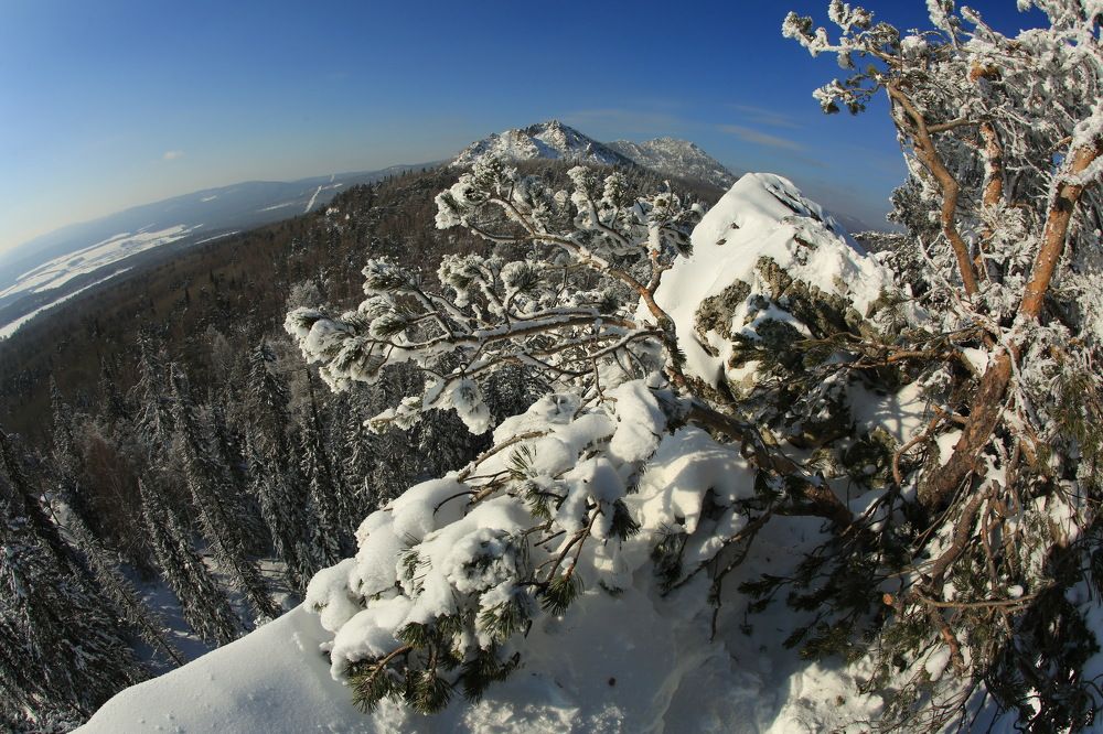 Photograph by Ирина Сушко