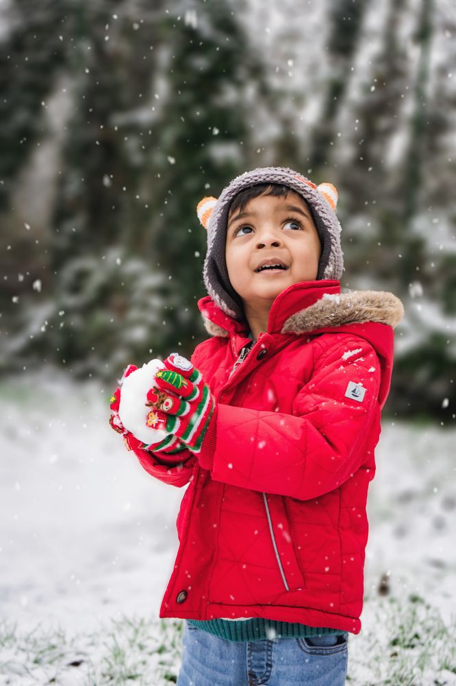 Fun in the Snow Series