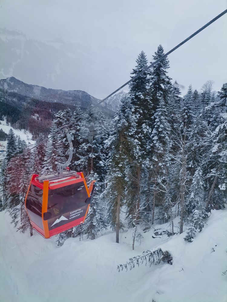 Photograph by Katrin Radish