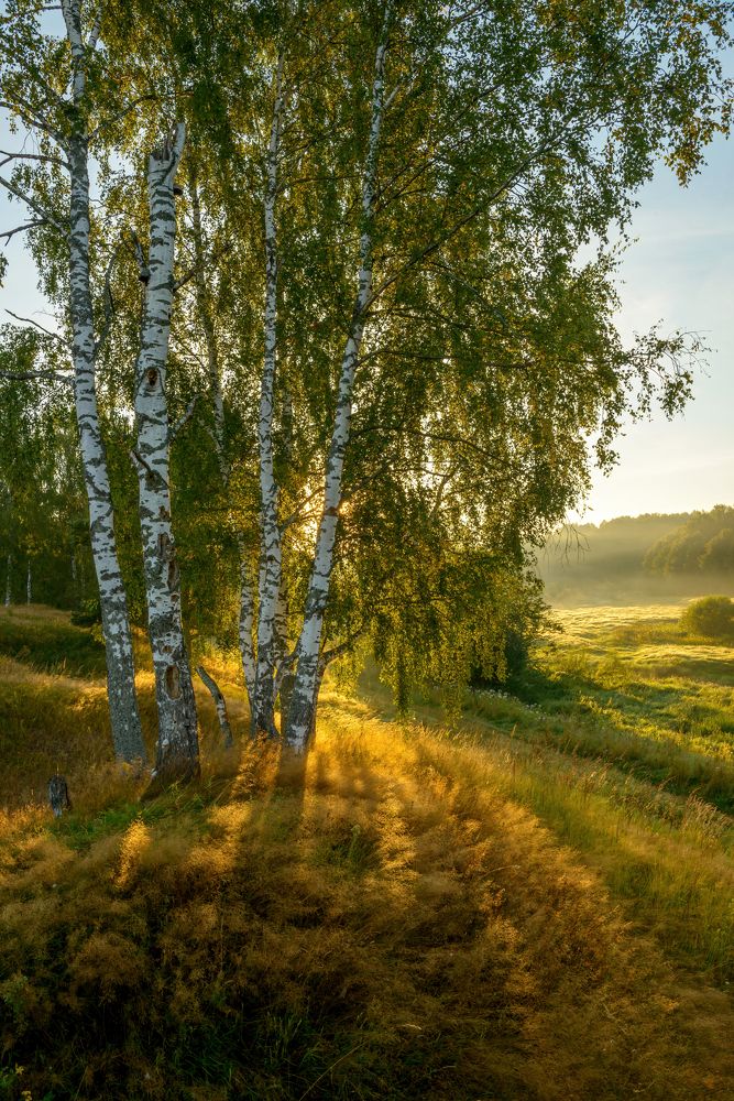 Фотография автора Евгений Чуканов
