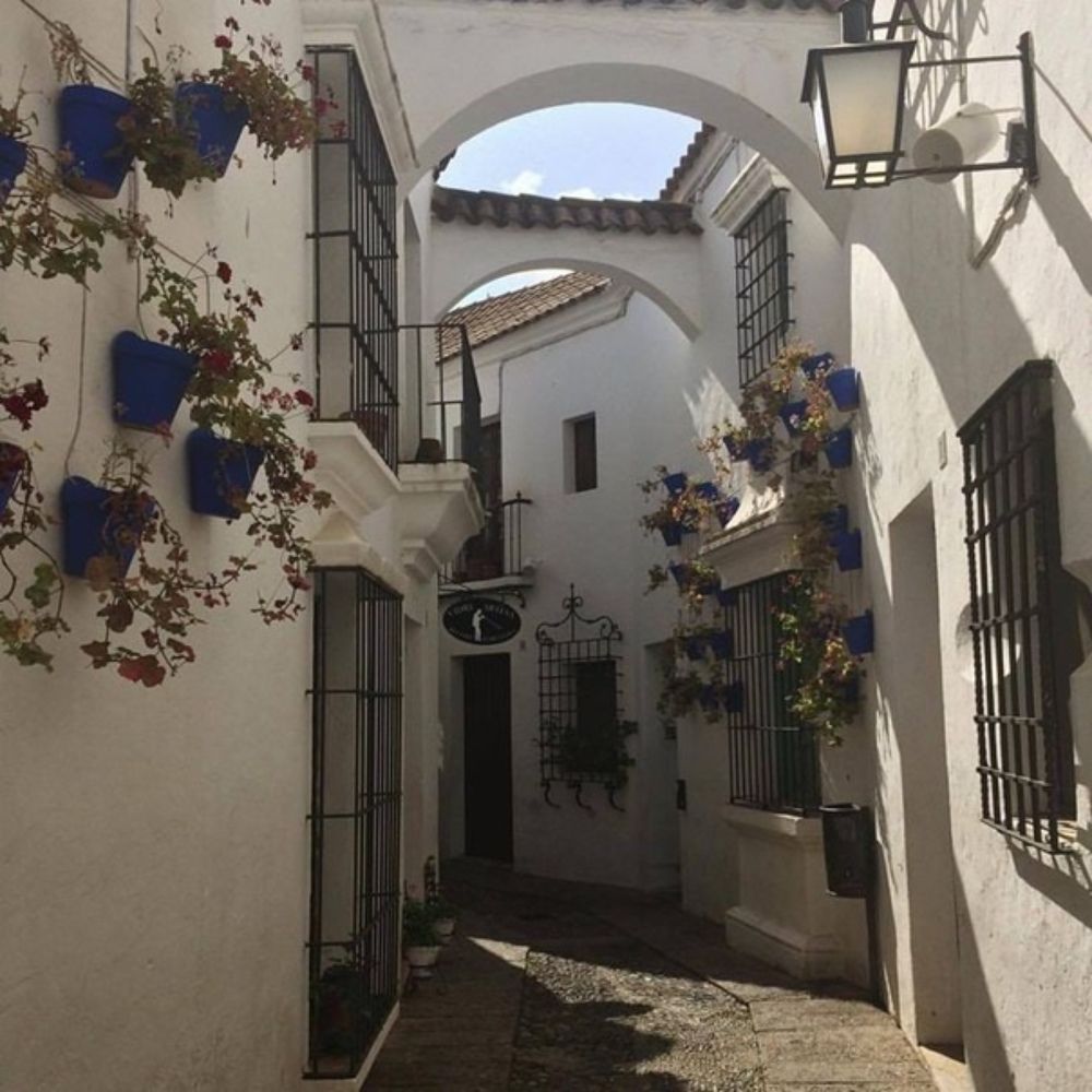 Photograph by Fedorova Sveta