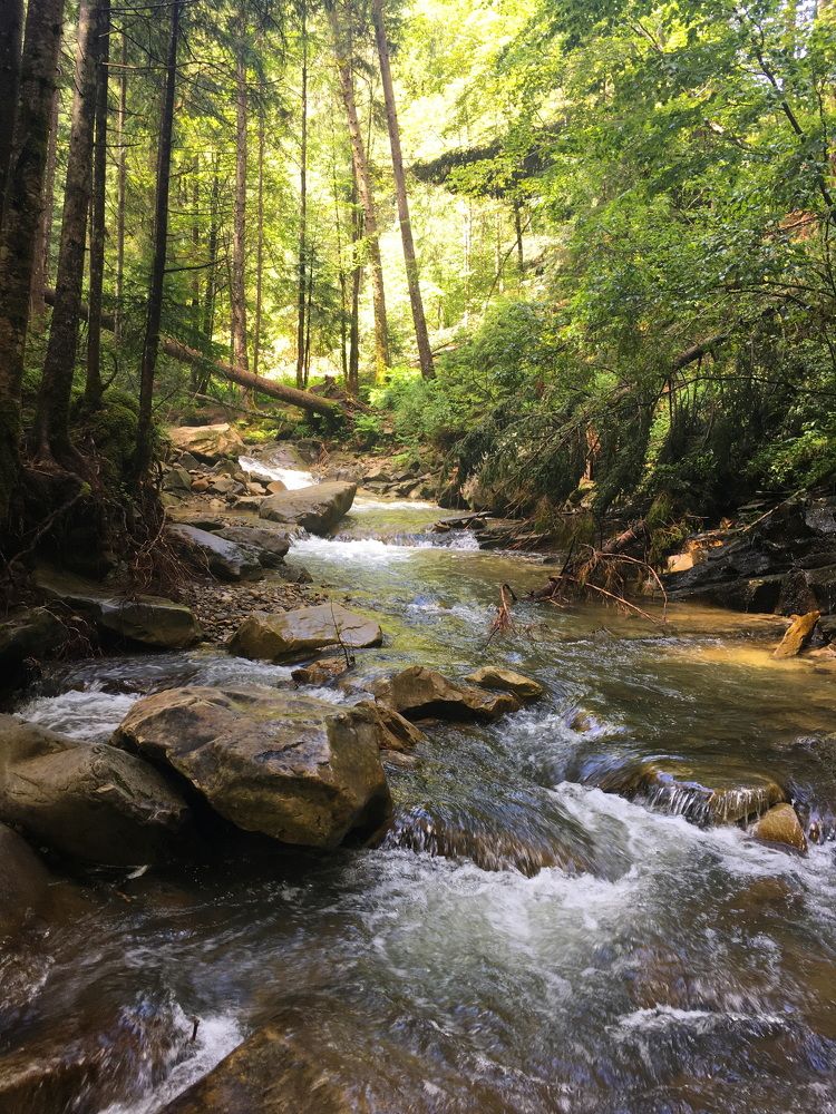 Девичьи Слезы Карпат