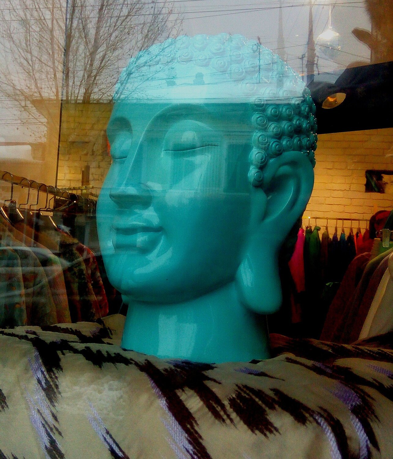 Photo #5875040