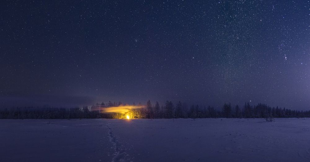 Ночь на болоте