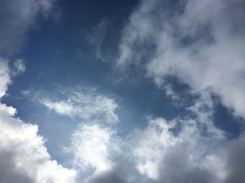 Окно тумана