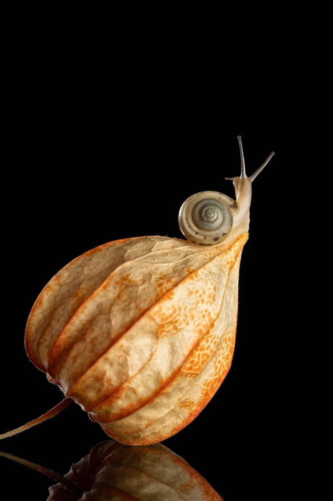 Photograph by Larianna Holm