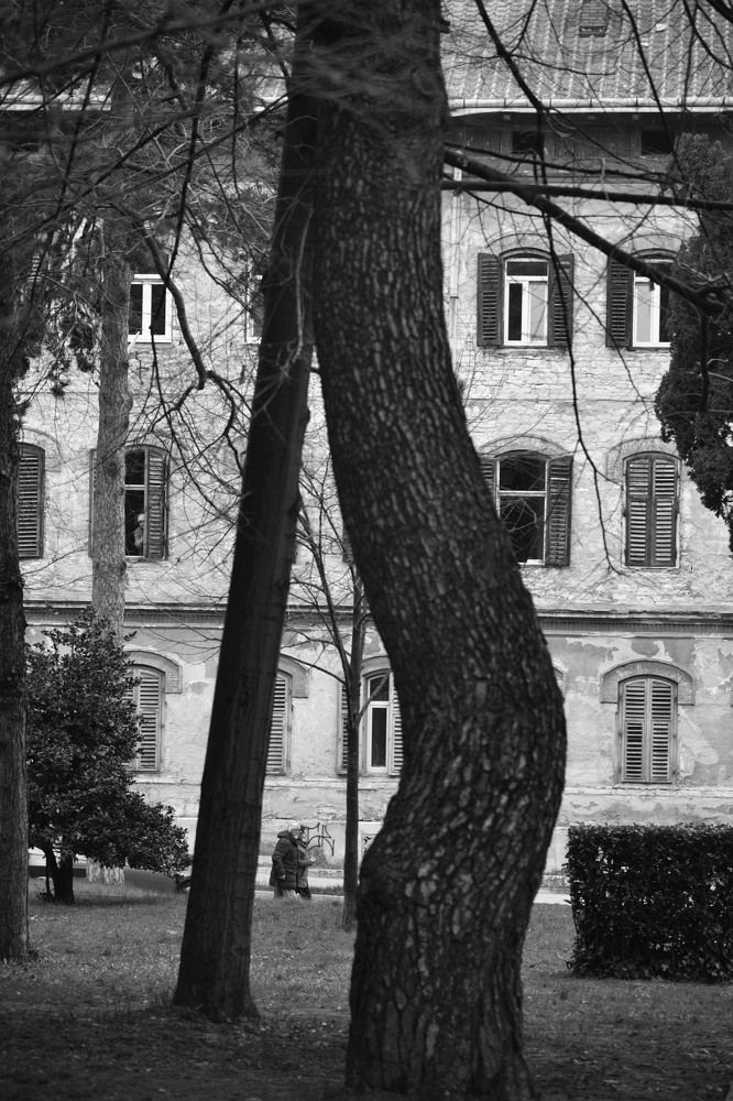 Photograph by Sonja Maric