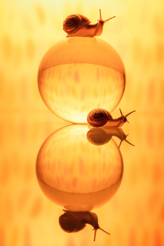 Photograph by Larianna Holm