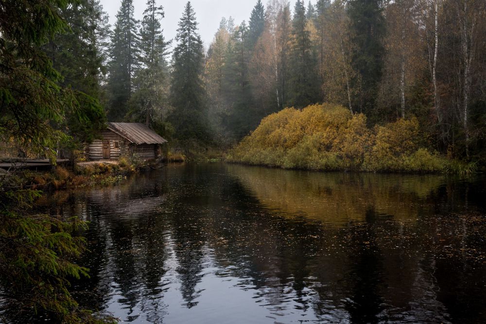 Photograph by Ирина Моросеева