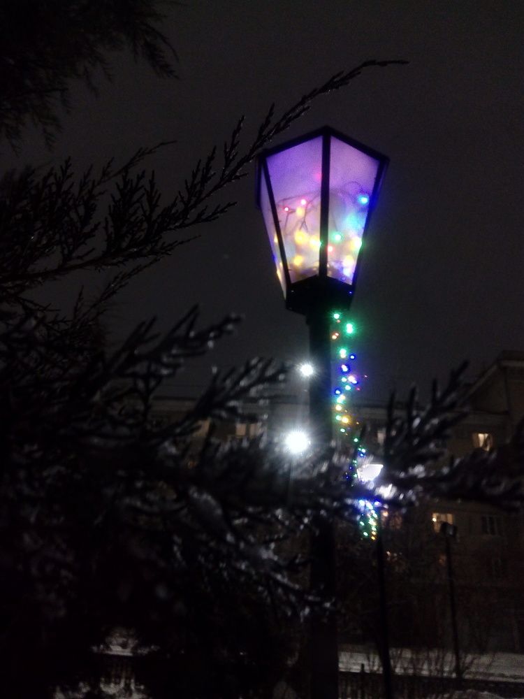 Photo #5875223