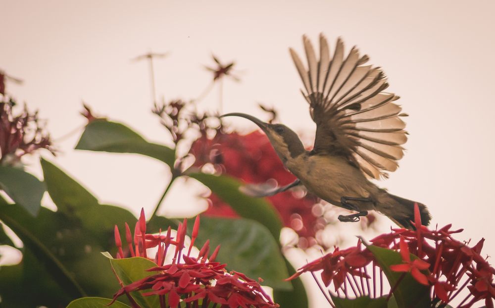 Photograph by Rila Rasheed