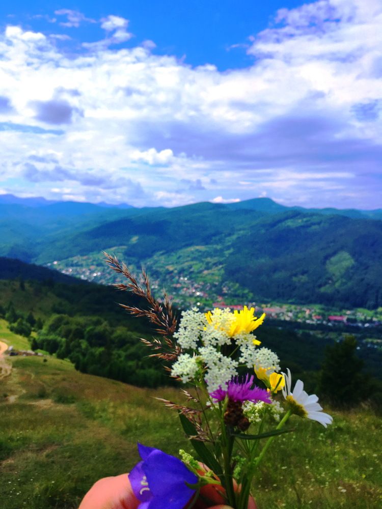 Счастье живет на Маковице