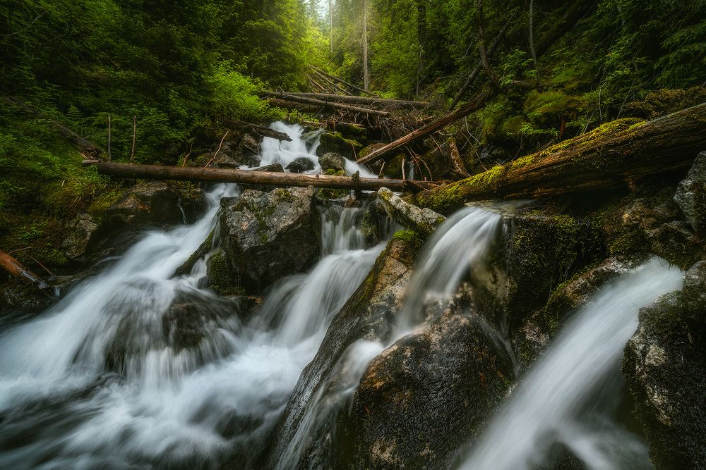 Photograph by Jakub Perlikowski