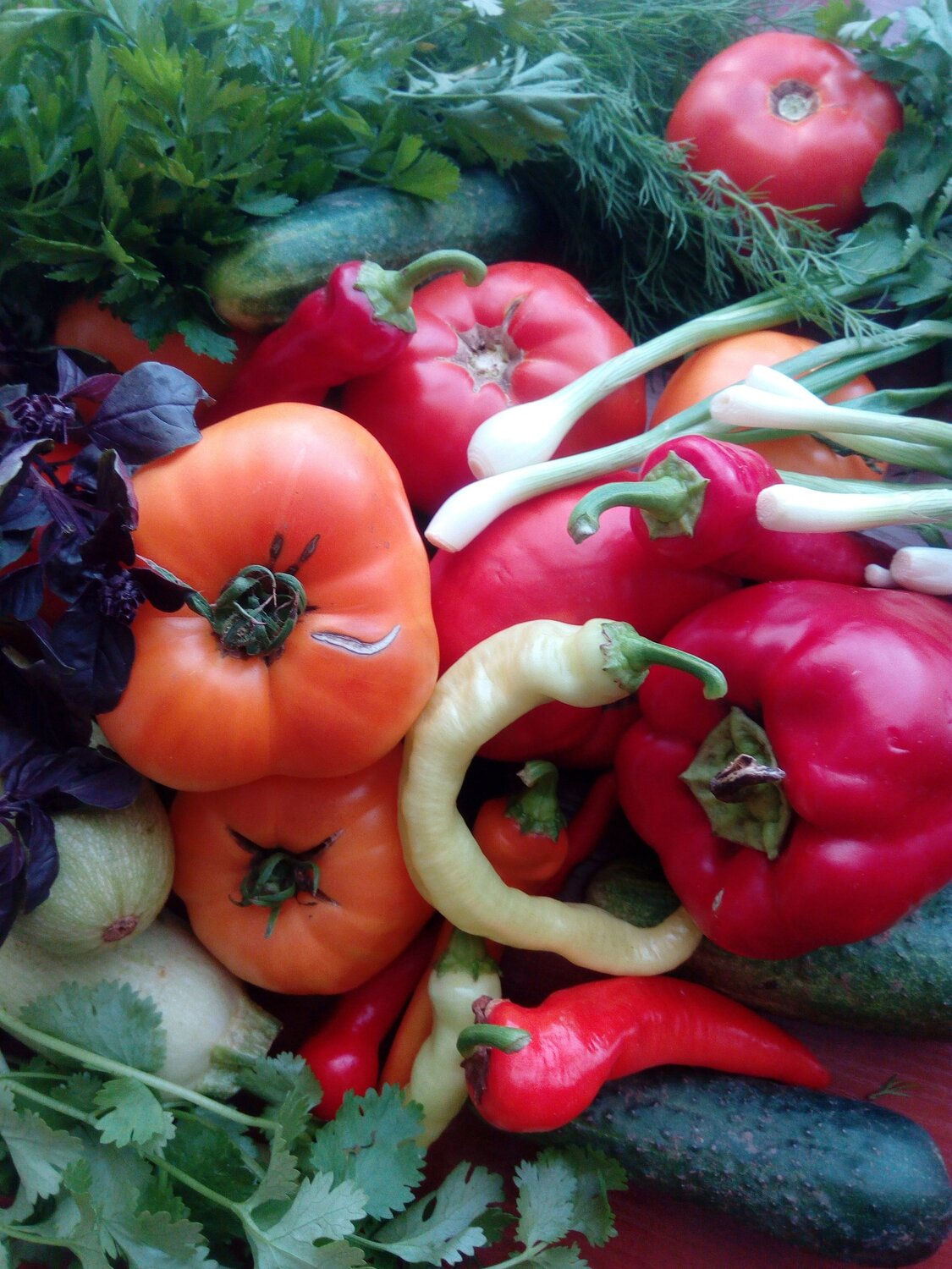 Photo #5875315