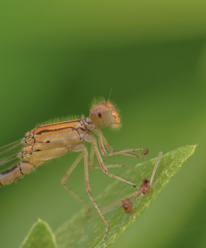 Photograph by Anindita Datta Muhuri