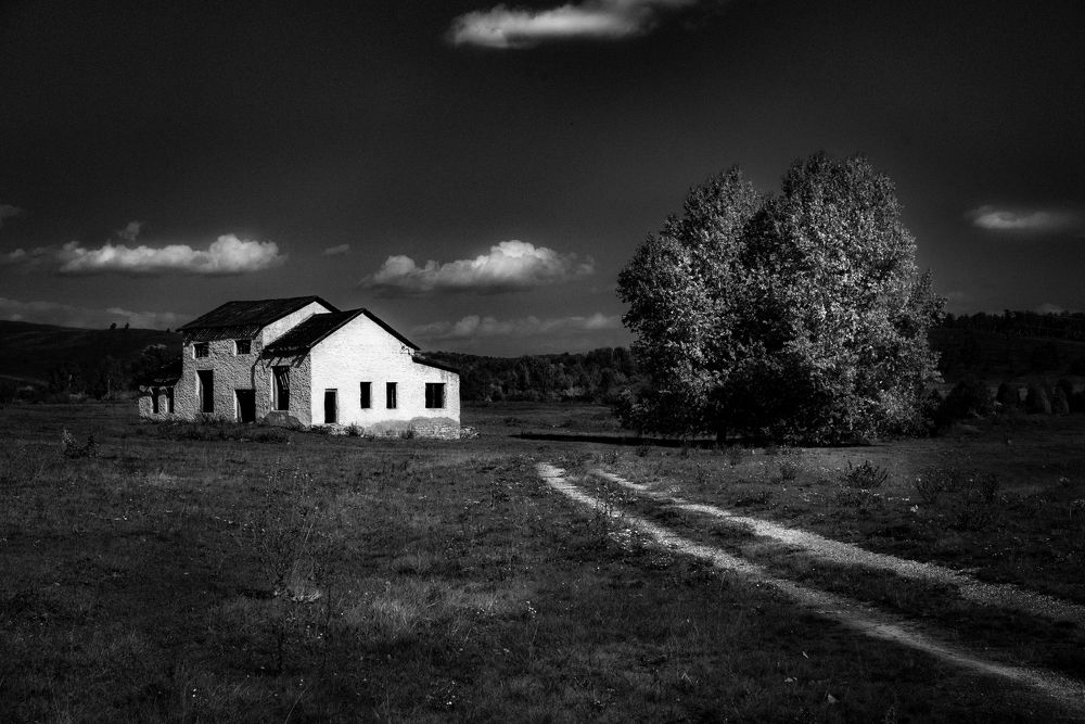 Photograph by Константин шумский