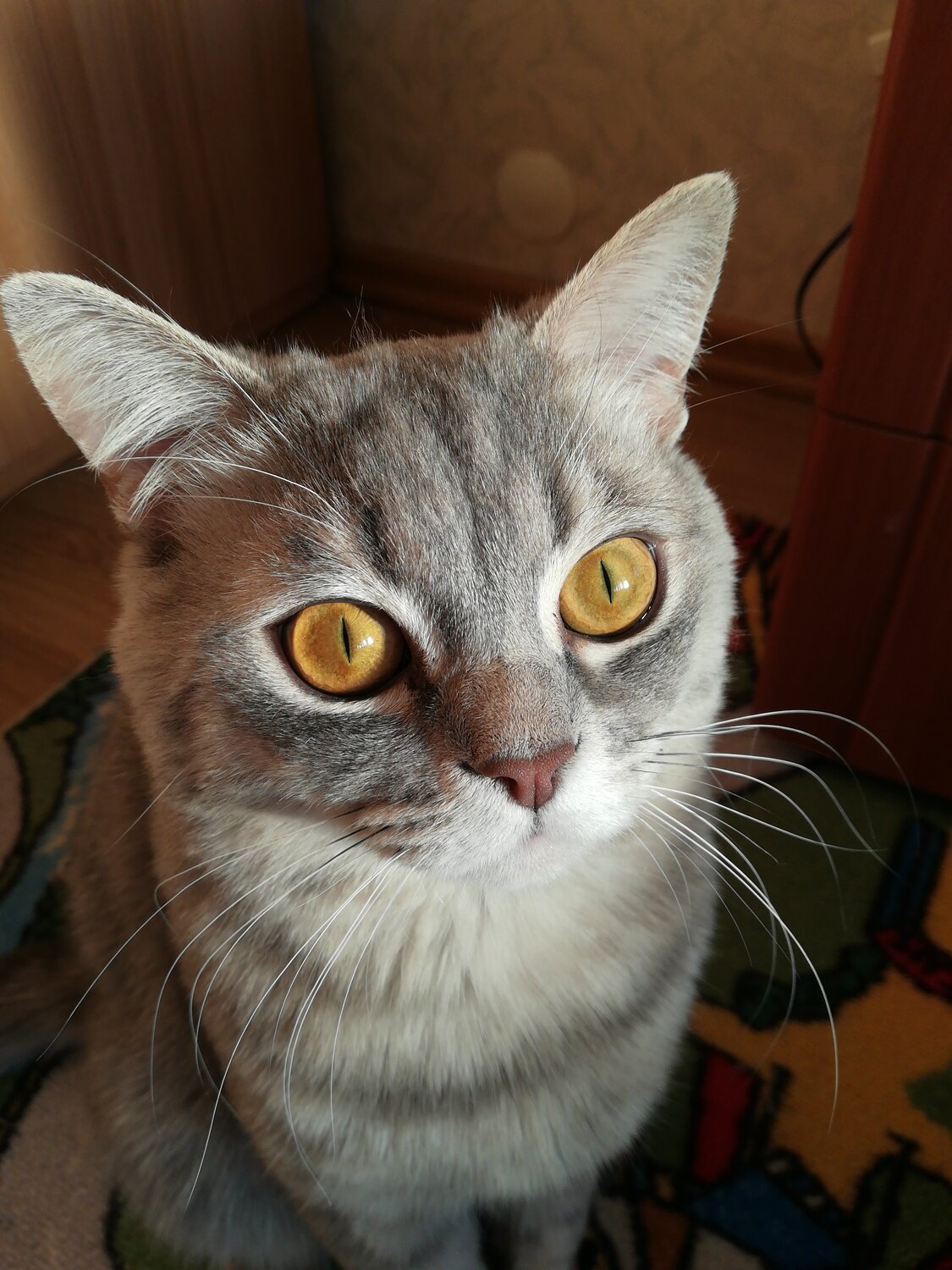 Photo #5875362