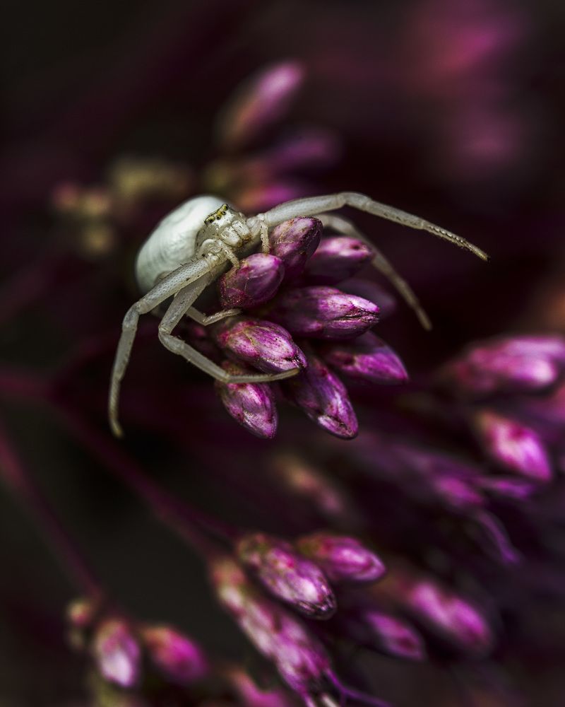 Photograph by Ирина Пикина