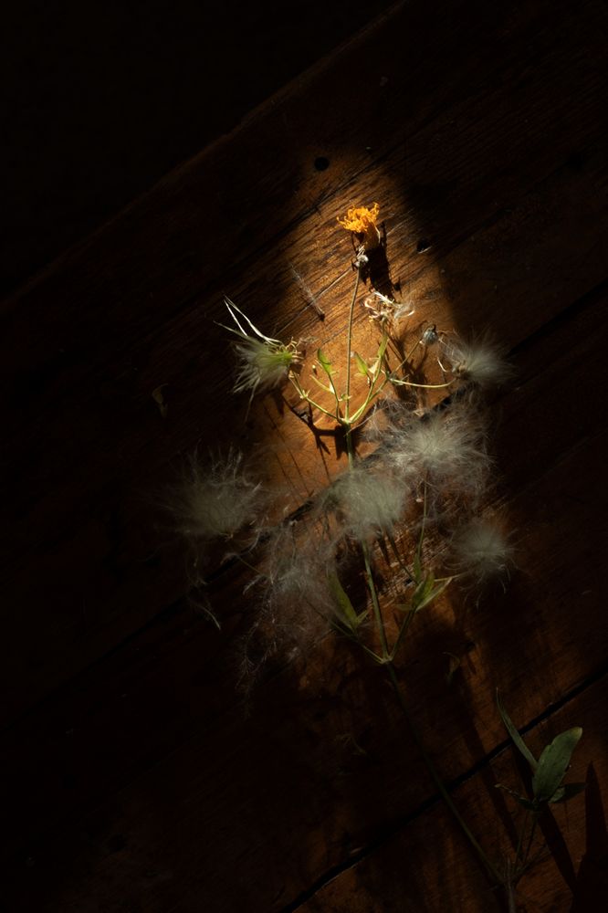 Photograph by Татьяна Колесникова