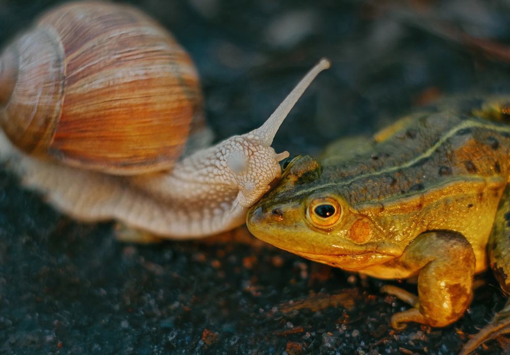 Photograph by Янголенко Ольга