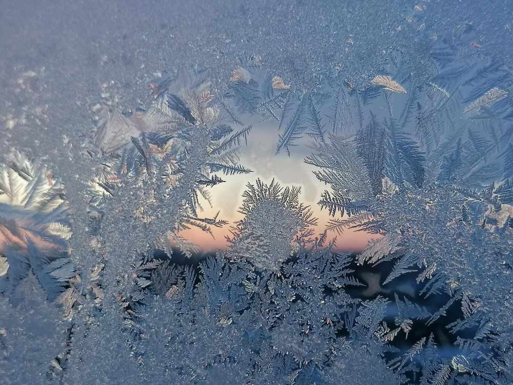 Photo #5875436