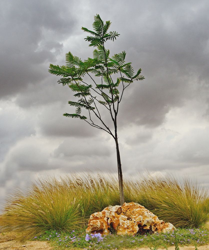 Photograph by Leonid Pustylnikov