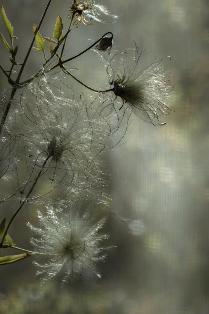 Photograph by Татьяна Колесникова