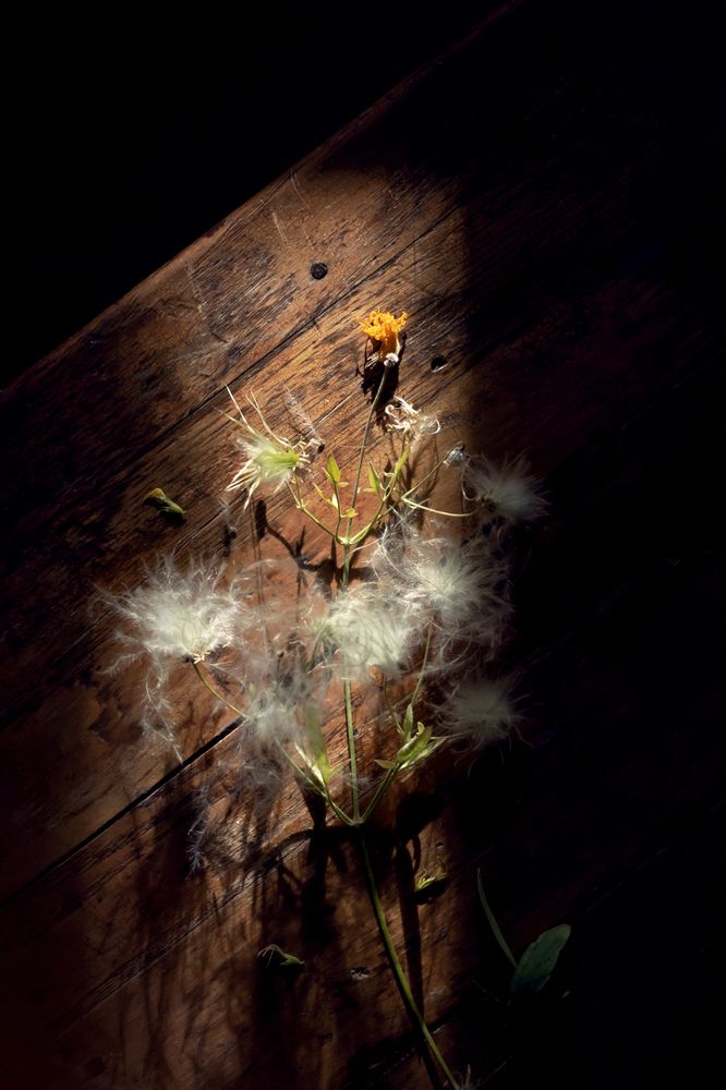 Photograph by Татьяна Колесникова