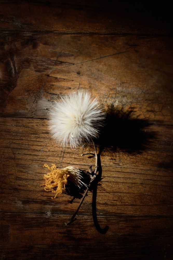 Photograph by Татьяна Колесникова