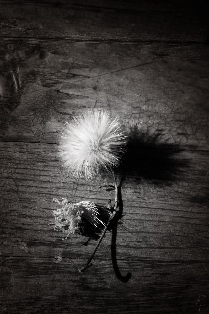 Photograph by Татьяна Колесникова