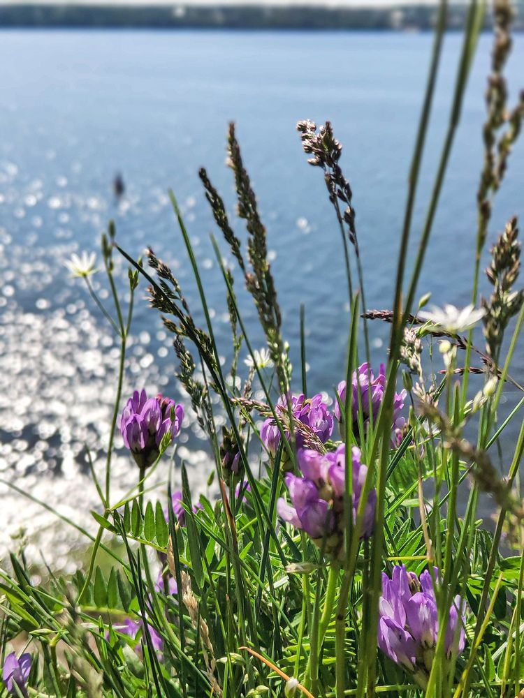 Photograph by Светлана Трухина