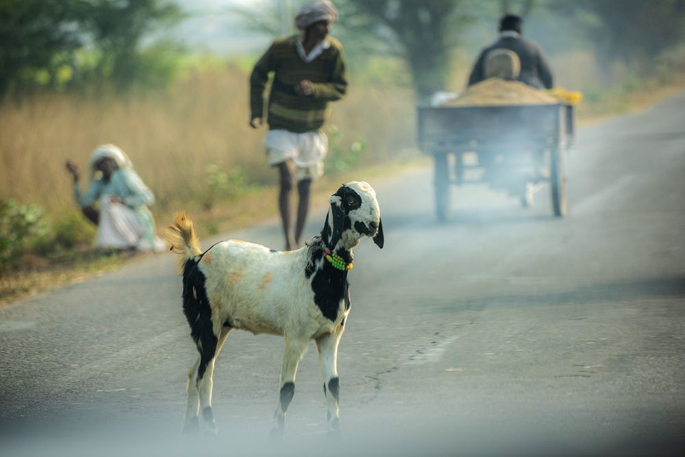 Другая цивилизация