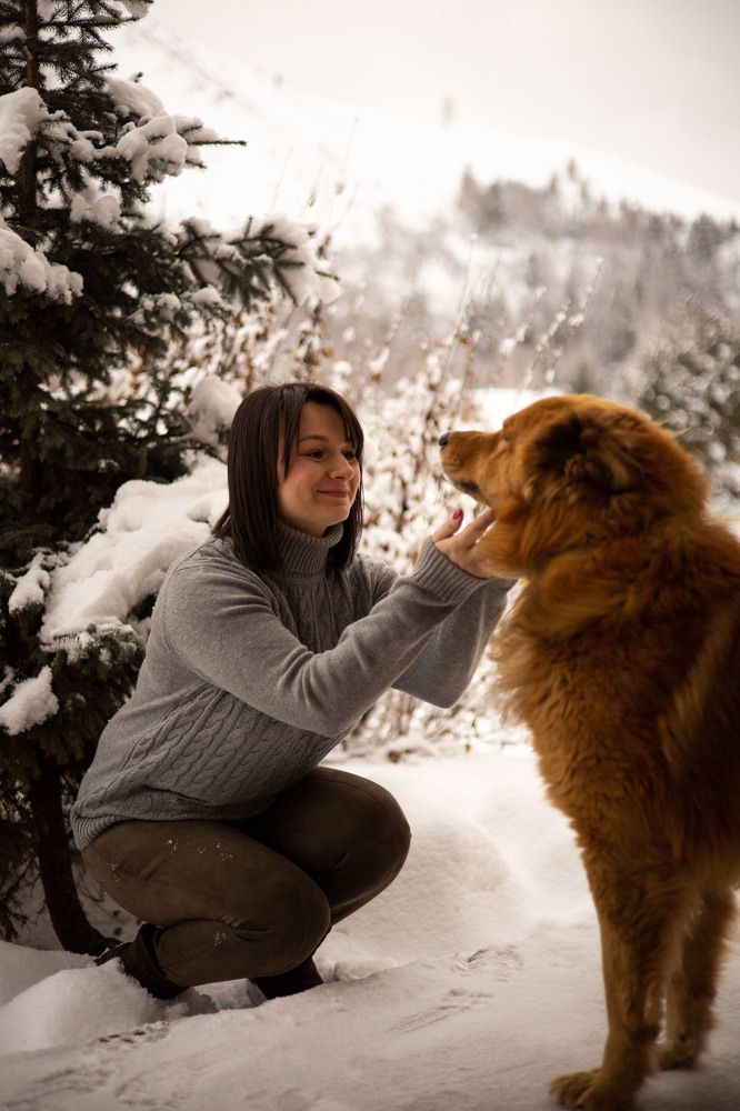 Photograph by Алла Шаленко