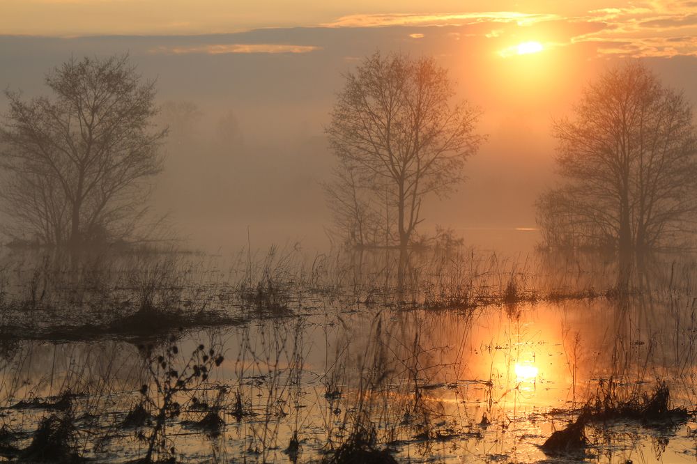 Photograph by Галина Сивцева