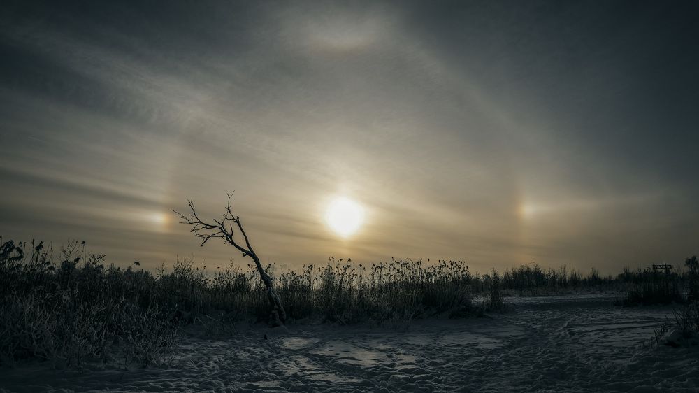 Photograph by Ольга Чуманова