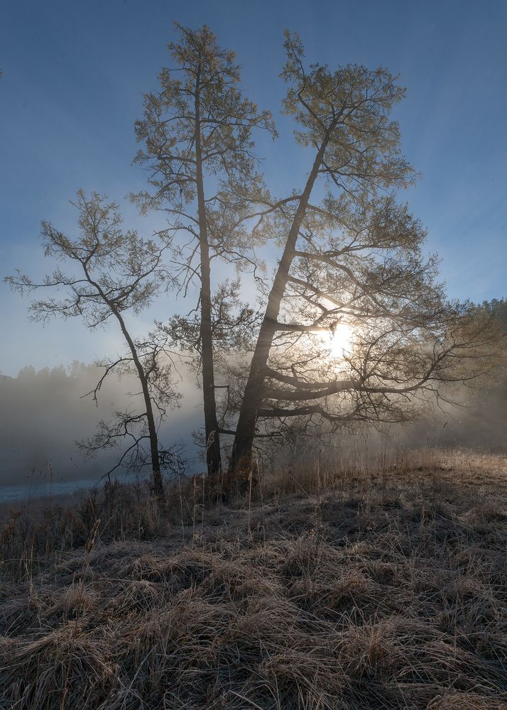 Фотография автора Юрий Литвинов