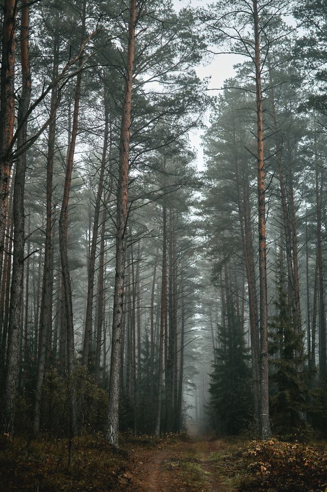 Photograph by Валерий Зенович