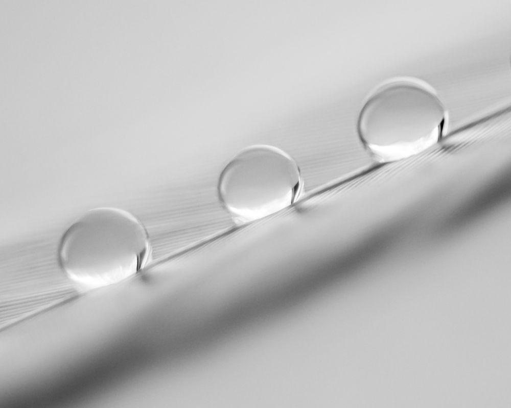 Photograph by Алеся Писнова