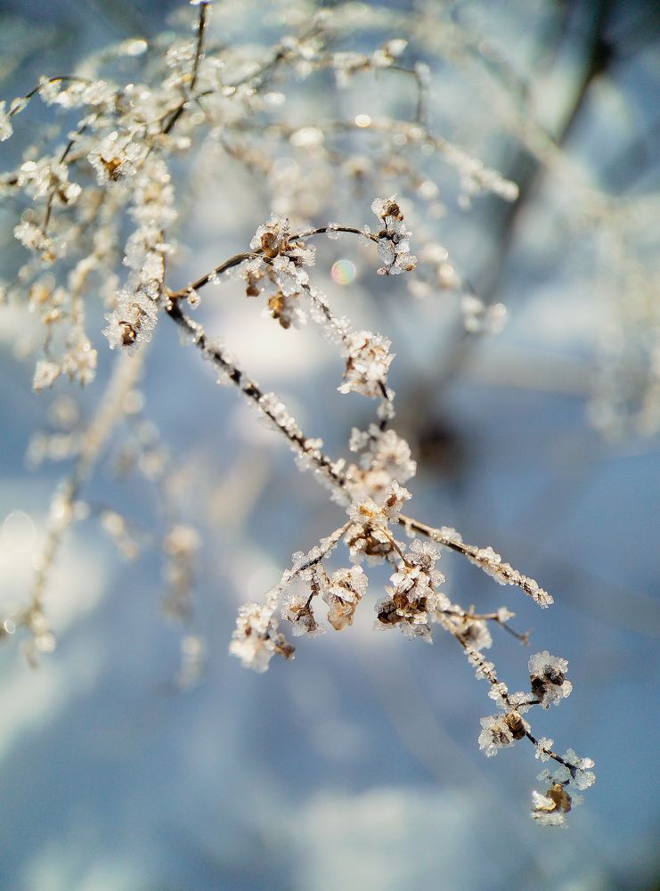 Photograph by Диана Кошелева