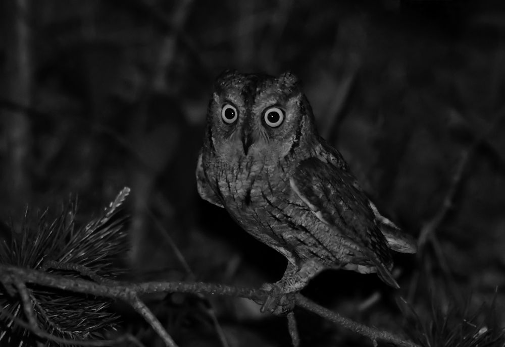 Photograph by MIKHAIL KALAGIN